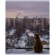 Тетрадь общая BG "Двор", А5, 48 листов в клетку, на скрепке (025-Т5ск48 62701)