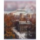 Тетрадь общая BG "Двор", А5, 48 листов в клетку, на скрепке (025-Т5ск48 62701)