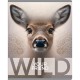 Тетрадь общая BG "Wild", А5, 48 листов в клетку, на скрепке (025-Т5ск48 60312)