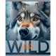 Тетрадь общая BG "Wild", А5, 48 листов в клетку, на скрепке (025-Т5ск48 60312)