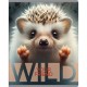 Тетрадь общая BG "Wild", А5, 48 листов в клетку, на скрепке (025-Т5ск48 60312)