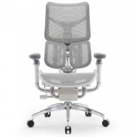 Офисное кресло Sihoo S300-B102-JT белый