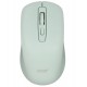 Мышь Acer OMR309, Optical 1600 dpi, 1AA, USB, Green