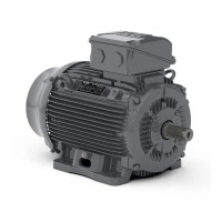 Асинхронный электродвигатель WEG 17376514 WGOST-90L 3 кВт 2P B3T 220/380 В 50 Гц
