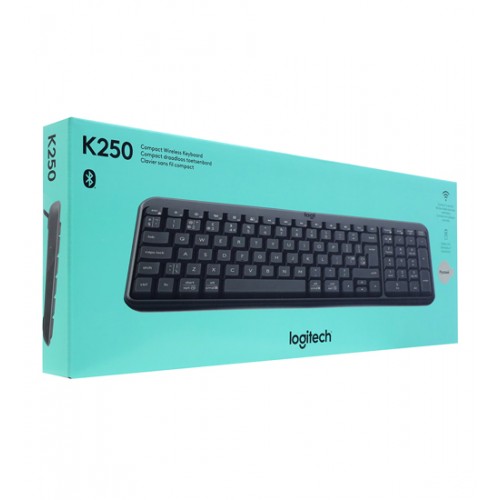 Клавиатура USB,  Logitech K250 , черный, KeyBoard Bluetooth, (920-013452) BT/wireless/Membrane, black