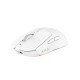 Компьютерная мышь Ajazz AJ139 V2 MC White