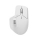 Компьютерная мышь Rapoo MT760L Белый