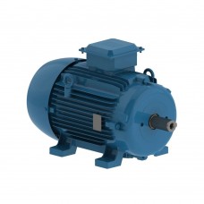 Асинхронный электродвигатель WEG 12312850 AM W20 -112M 4 кВт 4P B3T 380-460 В 50 Гц