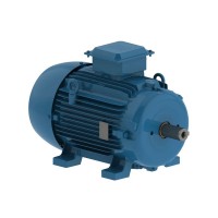 Асинхронный электродвигатель WEG 16803817 AM W20 -90L 2.2 кВт 2P B3T 220-460 В 50 Гц