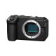 Цифровой фотоаппарат CANON EOS R6 V BODY V2.4