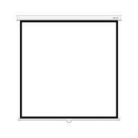 Экран Deluxe DLS-M305W (120"х120"), O - 170", Раб. поверхность 297х297 см., 1:1