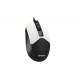Мышь A4tech Fstyler FM12S-PANDA, оптическая 1200DPI, 150 см, USB