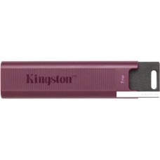 Флэш-накопитель Kingston 1Tb USB 3.2 Gen 2 DataTraveler Max (Burgundy)