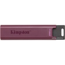 USB Флешка 256Gb, Kingston DataTraveler Max, USB 3.2 Gen 2, Burgundy (DTMAXA/256GB)