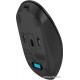 Мышь беспроводная A4tech Fstyler FG16CSAir BLACK <2.4GHz, Li-Battery>