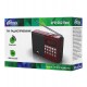 Радиоприемник Ritmix RPR-002, Красный, Radio FM, USB/mSD, Accu18650/USB power, red