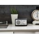 Радиоприемник Tivoli Model One BT Цвет: Серебро/Черный [Silver/Black]